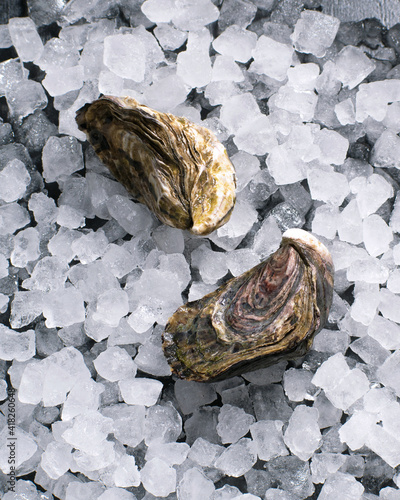 Fresh oysters on ice. Close-up