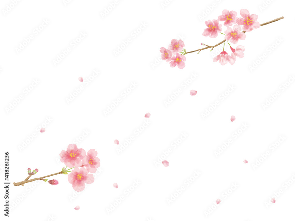 桜　水彩画風