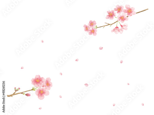 桜 水彩画風