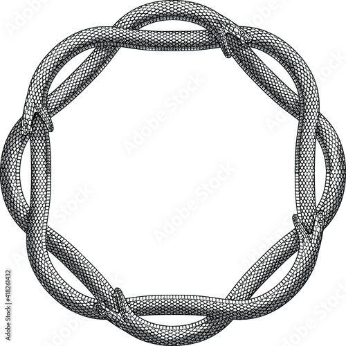 Ouroboros of 4 snakes in a vintage style photo