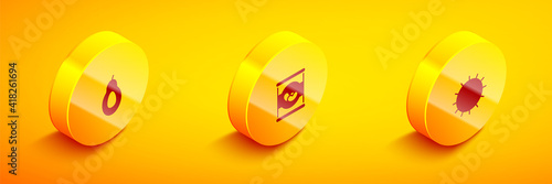 Set Isometric Avocado, Beans in can and Sun icon. Vector.