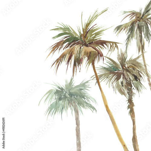 Watercolor pailm trees card design. Oasis illustration isolated on white background