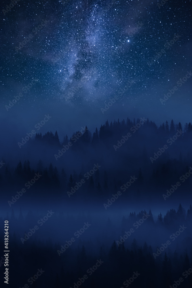 Fog in forest and Milky way in sky