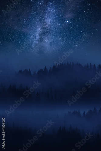 Fog in forest and Milky way in sky