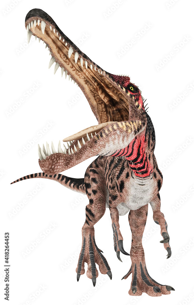 Dinosaurier Spinosaurus, Freisteller Dinosaurier Spinosaurus, Freisteller