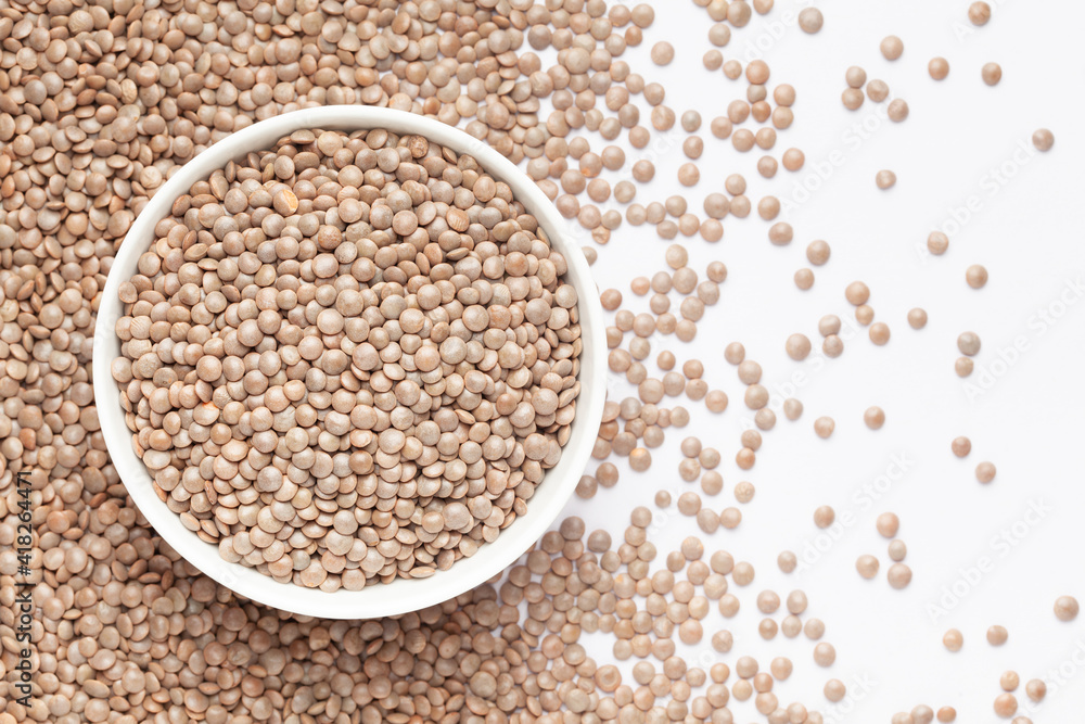Close up of Organic masoor dal (Lens culinaris) on a ceramic white bowl with the gradient background of whole brown dal. Top view Close up of Organic masoor dal (Lens culinaris) on a ceramic white bowl with the gradient background of whole brown dal. Top view