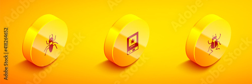 Set Isometric Ant, Book about insect and Beetle bug icon. Vector.