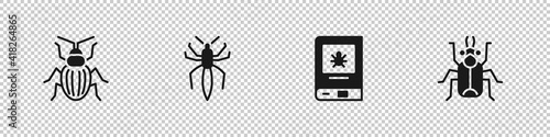Set Chafer beetle, Spider, Book about insect and Beetle bug icon. Vector.