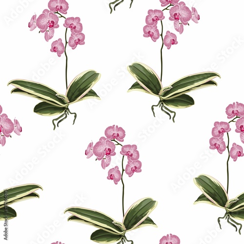 Pink purple phalaenopsis orchid flowers, buds, green leaves, stem. Botanical floral seamless pattern texture on white background. 