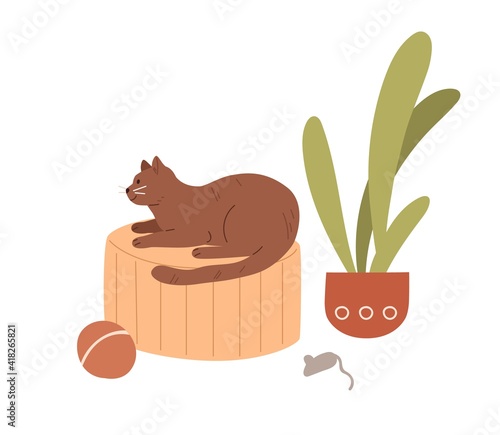 Cute cat lying at home. Adorable kitty with toys, mouse, ball and potted plant. Colored flat vector illustration of happy pet isolated on white background