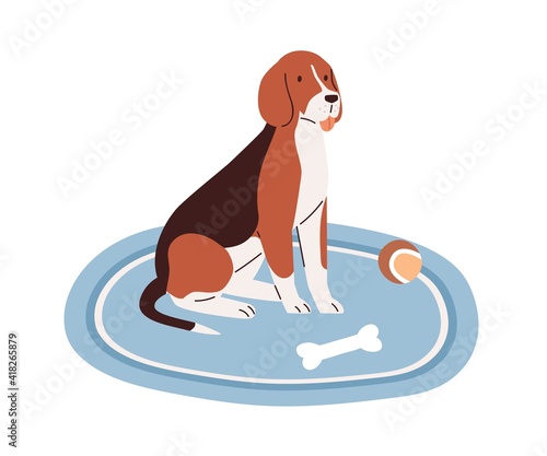 Cute dog sitting on carpet at home with puppy's toys, ball and bone. Adorable pet on rug isolated on white background. Colored flat vector illustration of animal on rug