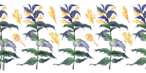 Watercolor seamless border with a plant Mariannick Asherah photo