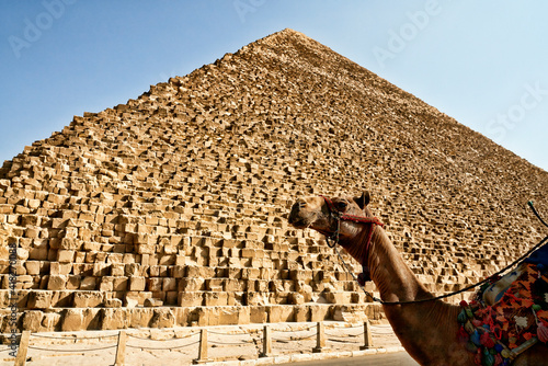Piramide d'egitto photo