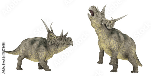 Dinosaurier Diabloceratops, Freisteller © Michael Rosskothen