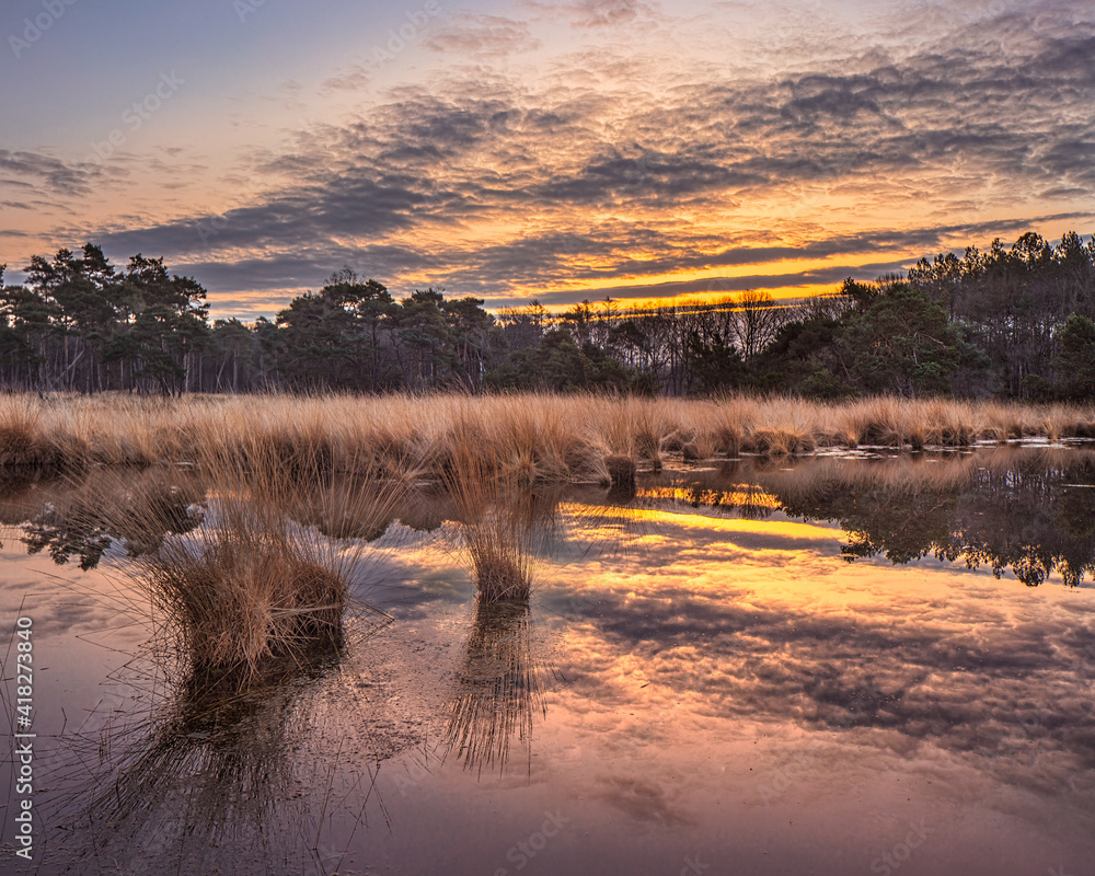 Fototapeta premium Sunrise on a heathland with dramatic clouds reflected in a pond, The Netherlands.