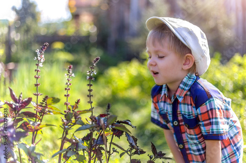 a small child in a field sniffs flowers