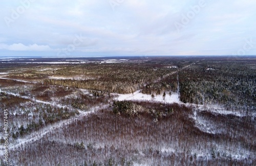 Winter drone view over snow covered bog area in Estonia