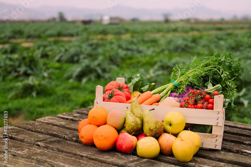 Fototapeta Naklejka Na Ścianę i Meble -  box with vegetables and fruits in a crop field