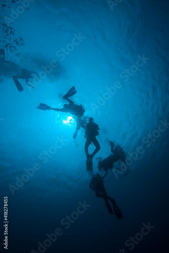 Group of people snorkeling with whale shark. Maldives © osman