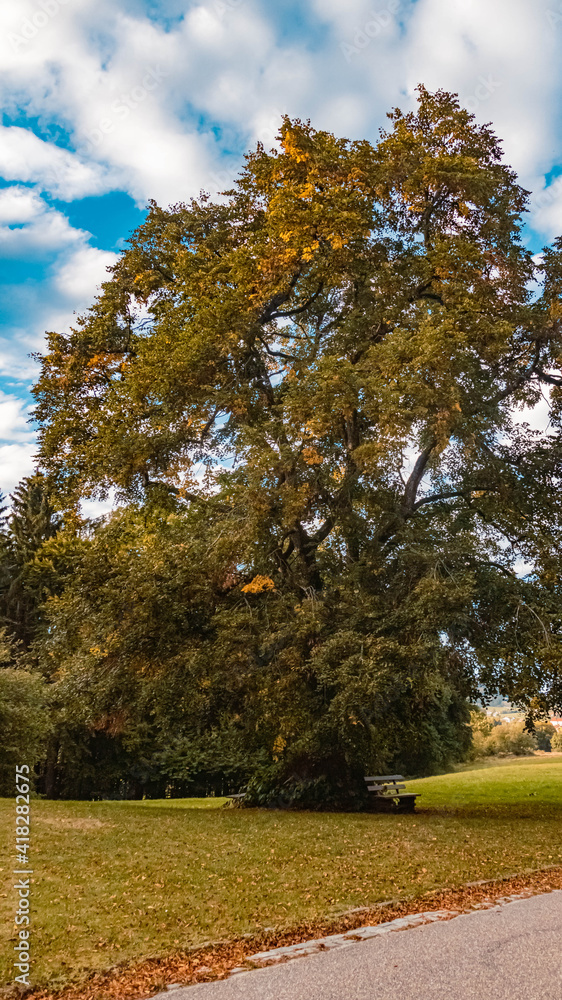 Naklejka premium Beautiful autumn or indian summer view at Saint Johann near Falkenfels, Bavarian forest, Bavaria, Germany