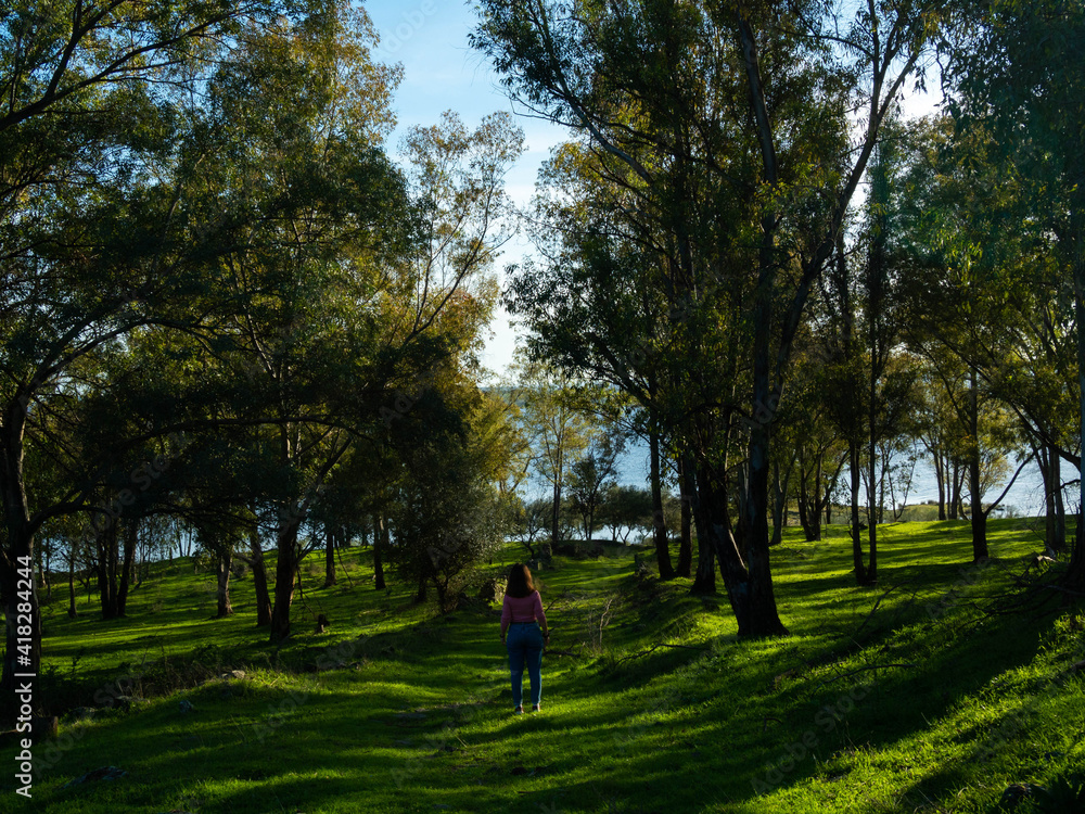 Woman in pink sweater in a forest with big trees in spring Woman in pink sweater in a forest with big trees in spring