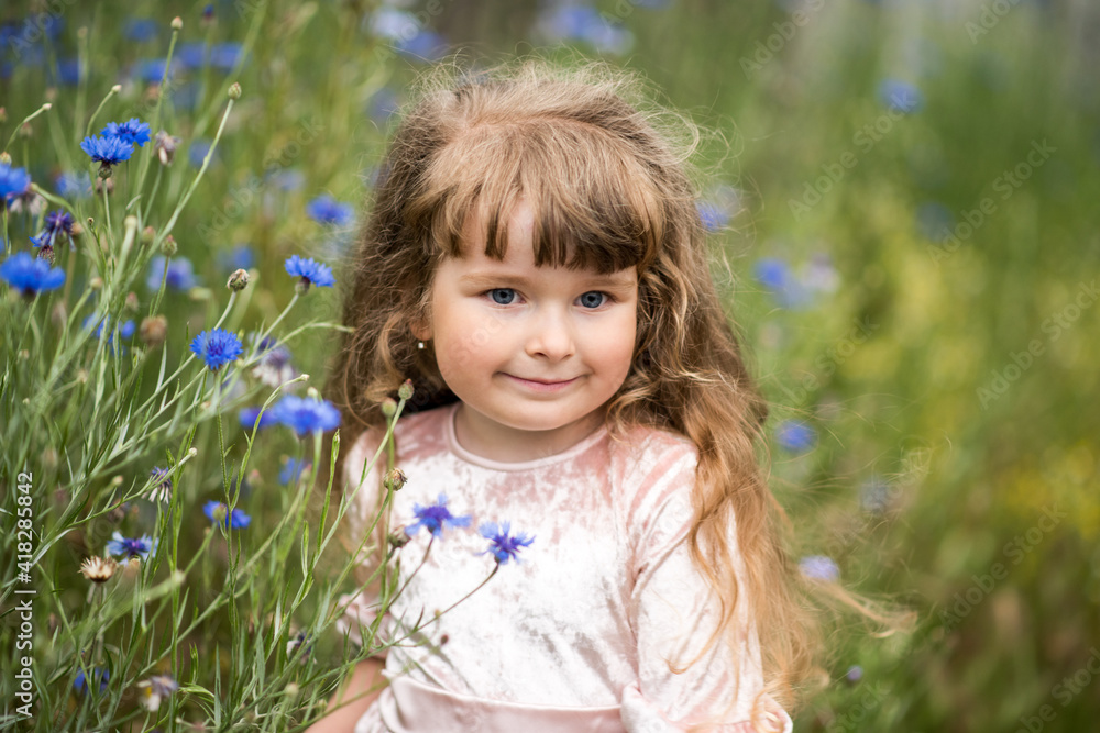 Beautiful little girl with long curly hair in the spring in a field of cornflowers. Spring flowers in the field. The child is happy Beautiful little girl with long curly hair in the spring in a field of cornflowers. Spring flowers in the field. The child is happy
