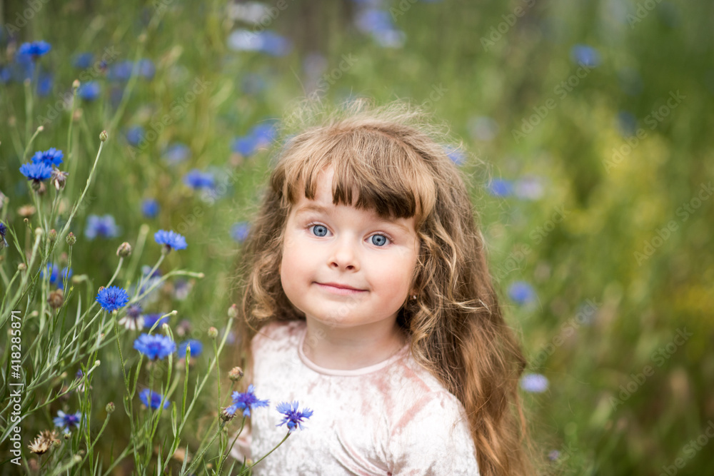 Beautiful little girl with long curly hair in the spring in a field of cornflowers. Spring flowers in the field. The child is happy Beautiful little girl with long curly hair in the spring in a field of cornflowers. Spring flowers in the field. The child is happy