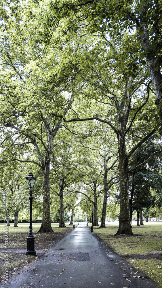 Fototapeta premium Pedestrian promenade park