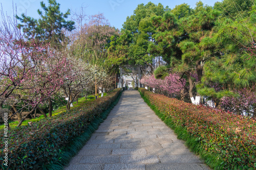 Fototapeta Naklejka Na Ścianę i Meble -  Spring scenery of Yellow Crane Tower Park in Wuhan, Hubei