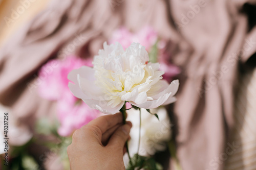 Hand holding beautiful peony on background of rustic linen dress in sunny light in room. Aesthetics