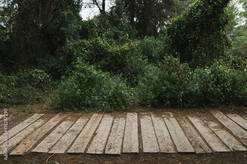 Wooden path in the forest