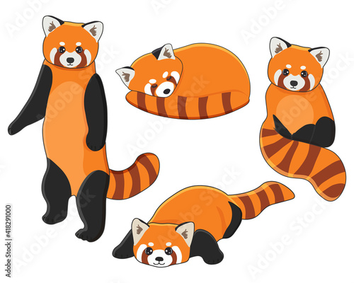 Red panda set, cute fluffy wild animals in different poses. Vector illustration on a white background
