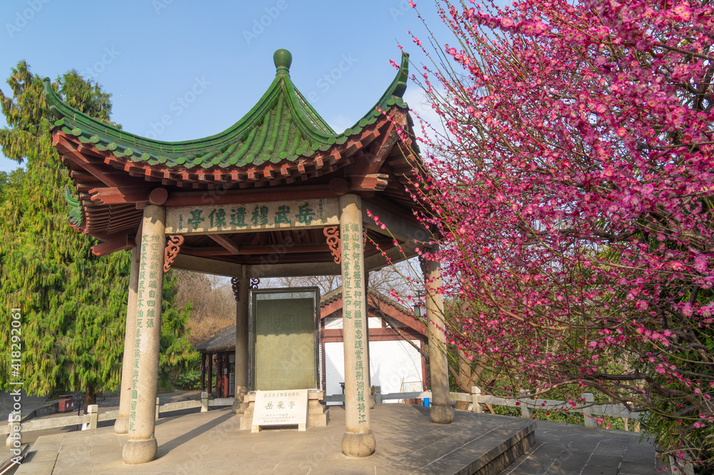 Plum blossoms in spring in Yellow Crane Tower Park, Wuhan, Hubei Plum blossoms in spring in Yellow Crane Tower Park, Wuhan, Hubei