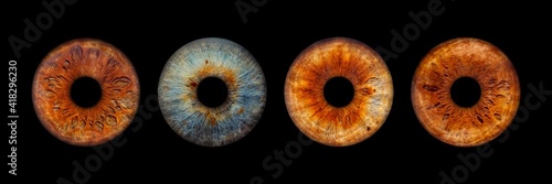 Fotografie, Obraz Close up of eye iris on black background, macro, photography
