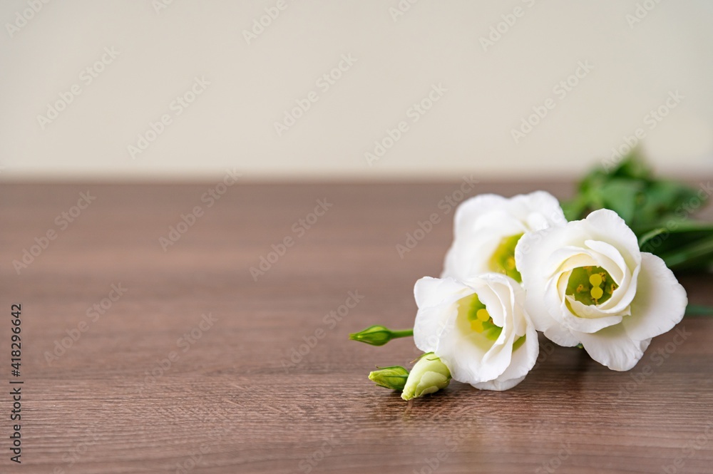 A bouquet of white eustoma lies on a wooden surface or a brown table. Backdrop of a homogeneous soft lemon or yellow color. Free space for text on the left. Selective soft focus.