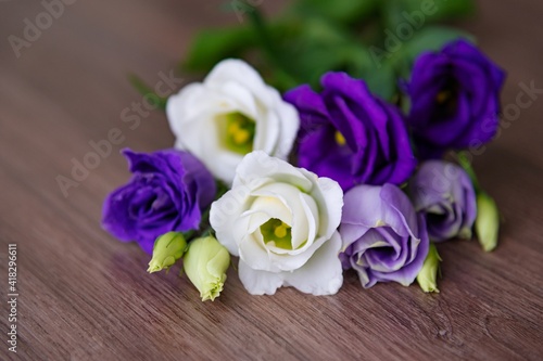 A bouquet of white and violet eustoma lies on a wooden surface or a brown table. Selective soft focus.