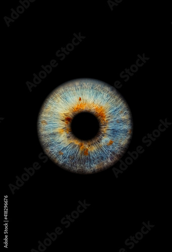 Fotografie, Obraz Close up of a blue and brown eye iris on black background, macro, photography