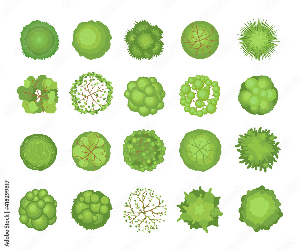 Tree crowns set. Top aerial view, green foliage, park, forest, garden plants isolated on white. Vector illustrations for landscape, nature, ecology concept