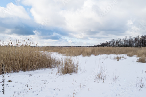 Frozen Wetlands and Lake on a Cold Winter Day in Latvia