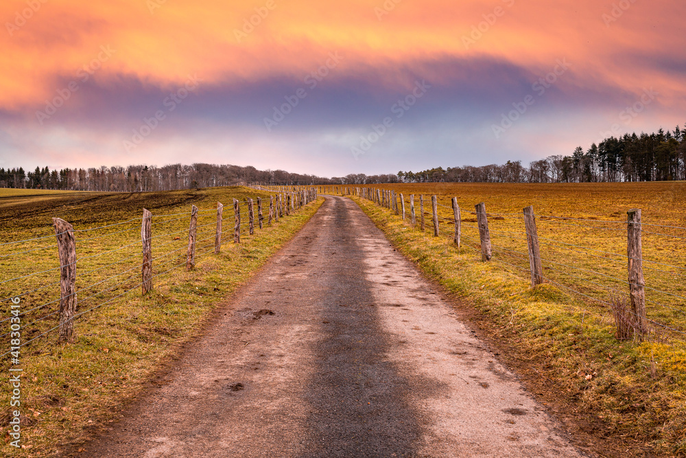 Rural road with wooden fence leading thru farmland into a forest with sunset above