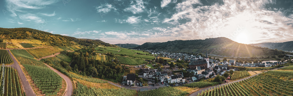 Fototapeta premium Panoramic view of the Moselle vineyards near Bruttig-Fankel, Germany. .Created from several images to create a panorama image.