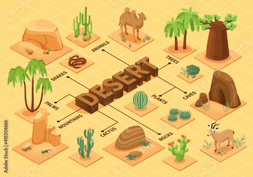 Desert Isometric Flowchart