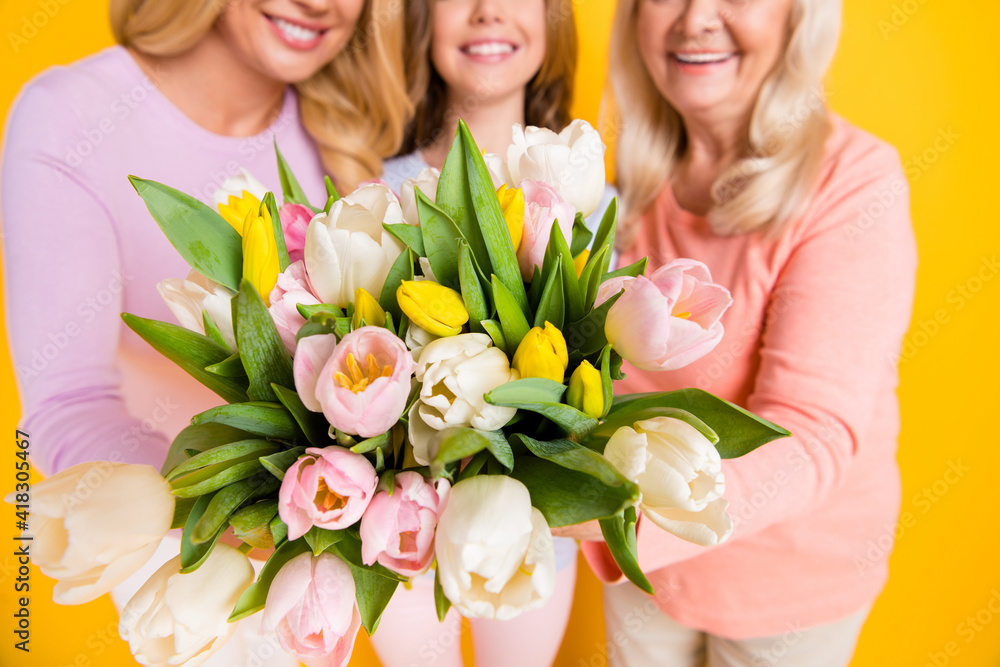 Cropped photo of nice optimistic blond red hair grand mom daughter give flowers wear pastel cloth isolated on yellow color background