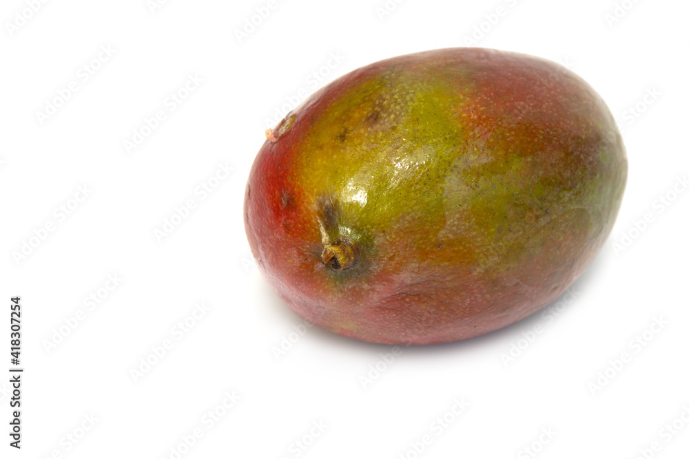 ripe mango fruit on white background ripe mango fruit on white background