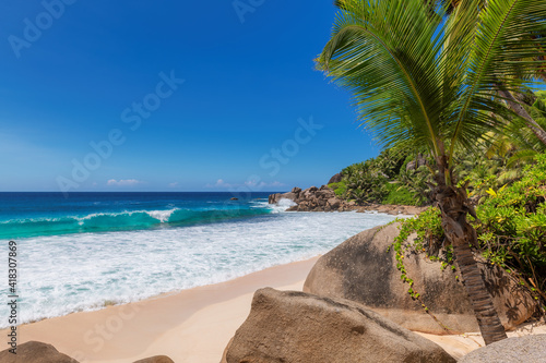 Palm trees on sandy beach at sunset in tropical island. Summer vacation and tropical beach concept.  © lucky-photo