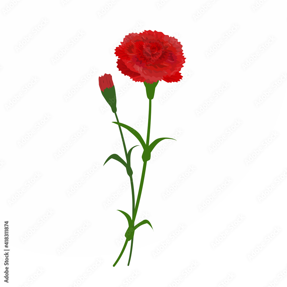 赤いカーネーションのイラスト 赤いカーネーションのイラスト