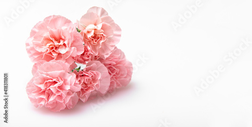 Wallpaper Mural Close up photo of a pink carnation bouquet isolated over white background Torontodigital.ca