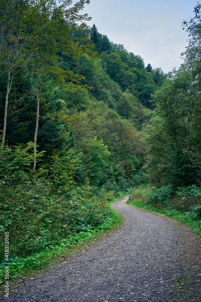 A winding gravel hiking trail in a dense mountain forest in the Bieszczady Mountains in Poland