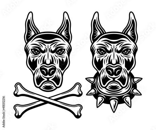Doberman dog head set of vector illustrations in monochrome style isolated on white background