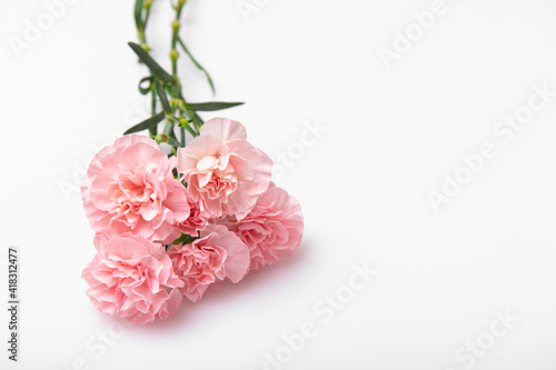 Close up photo of a pink carnation bouquet isolated over white background